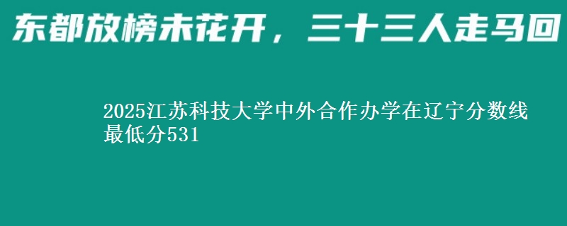 2025江苏科技大学中外合作办学在辽宁分数线 最低分531