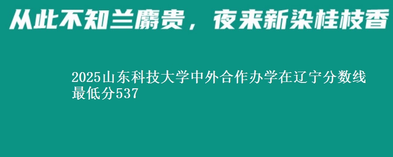 2025山东科技大学中外合作办学在辽宁分数线 最低分537