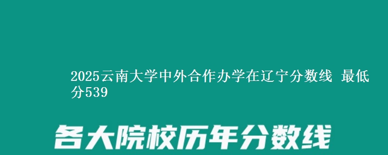 2025云南大学中外合作办学在辽宁分数线 最低分539