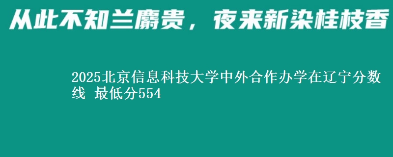 2025北京信息科技大学中外合作办学在辽宁分数线 最低分554