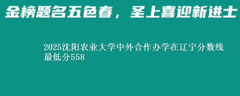 2025沈阳农业大学中外合作办学在辽宁分数线 最低分558
