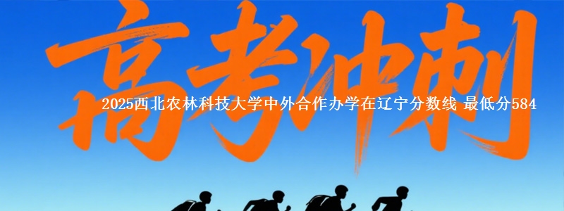 2025西北农林科技大学中外合作办学在辽宁分数线 最低分584
