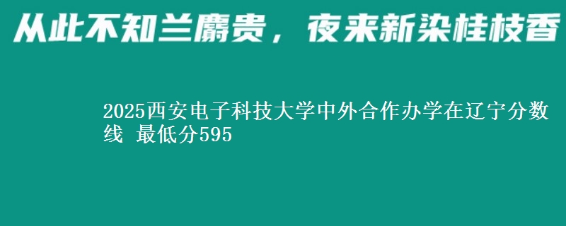 2025西安电子科技大学中外合作办学在辽宁分数线 最低分595