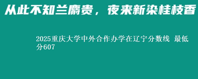2025重庆大学中外合作办学在辽宁分数线 最低分607