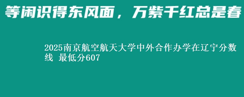 2025南京航空航天大学中外合作办学在辽宁分数线 最低分607