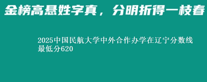 2025中国民航大学中外合作办学在辽宁分数线 最低分620