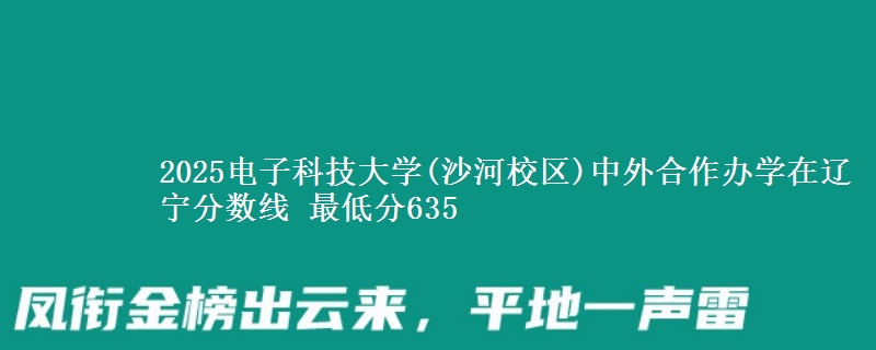 2025电子科技大学(沙河校区)中外合作办学在辽宁分数线 最低分635