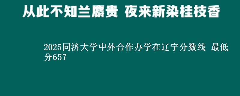 2025同济大学中外合作办学在辽宁分数线 最低分657