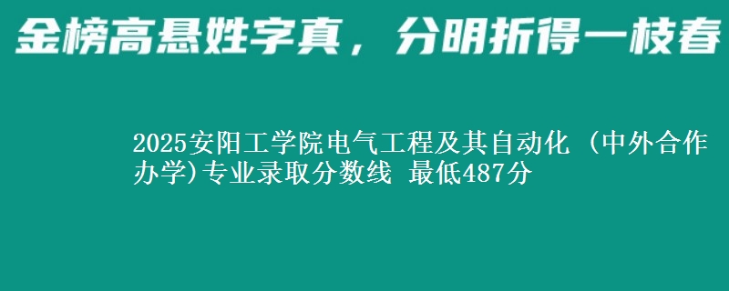 2025安阳工学院电气工程及其自动化 (中外合作办学)专业录取分数线 最低487分