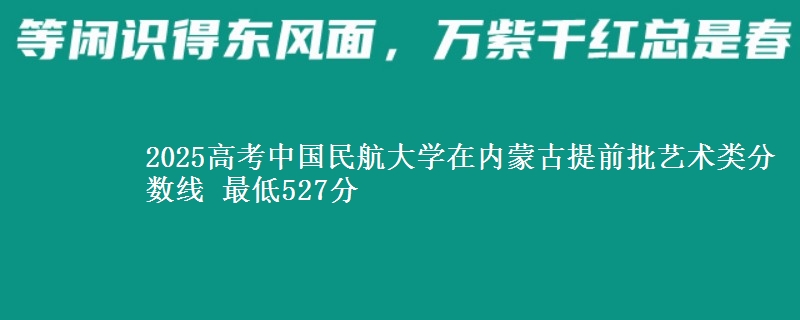 2025高考中国民航大学在内蒙古提前批艺术类分数线 最低527分