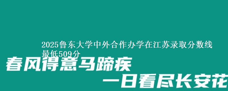 2025鲁东大学中外合作办学在江苏录取分数线 最低509分