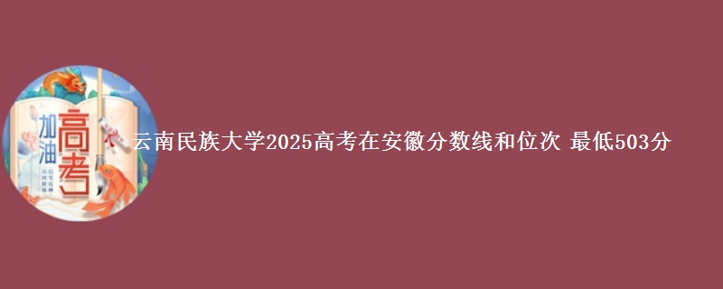 云南民族大学2025年在安徽分数线和位次 最低503分