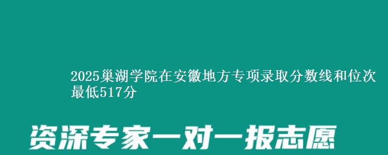 2025巢湖学院在安徽地方专项录取分数线和位次 最低517分