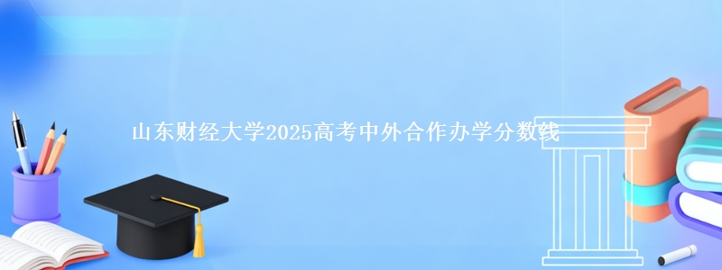 山东财经大学2025高考中外合作办学分数线