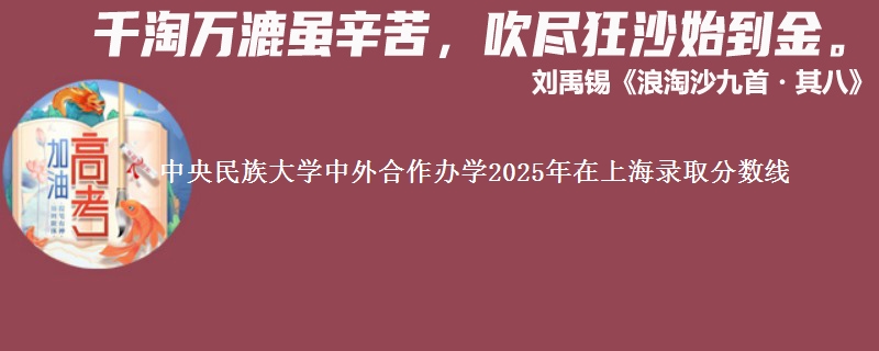 中央民族大学中外合作办学2025年在上海录取分数线