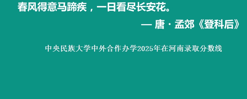 中央民族大学中外合作办学2025年在河南录取分数线