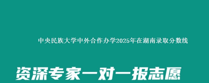 中央民族大学中外合作办学2025年在湖南录取分数线
