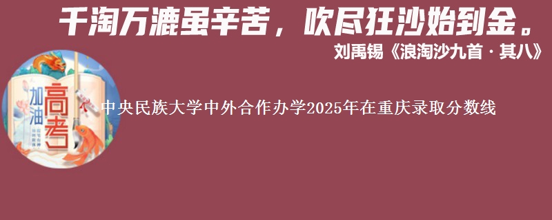 中央民族大学中外合作办学2025年在重庆录取分数线