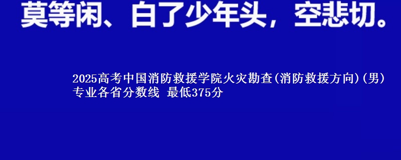 2025高考中国消防救援学院火灾勘查(消防救援方向)(男)专业各省分数线 最低375分