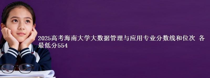 2025高考海南大学大数据管理与应用专业分数线和位次 各最低分554