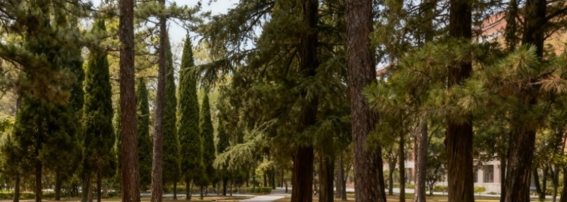 中国地质大学(北京)2025高考广西分数线和位次(含2023-2025历高考)