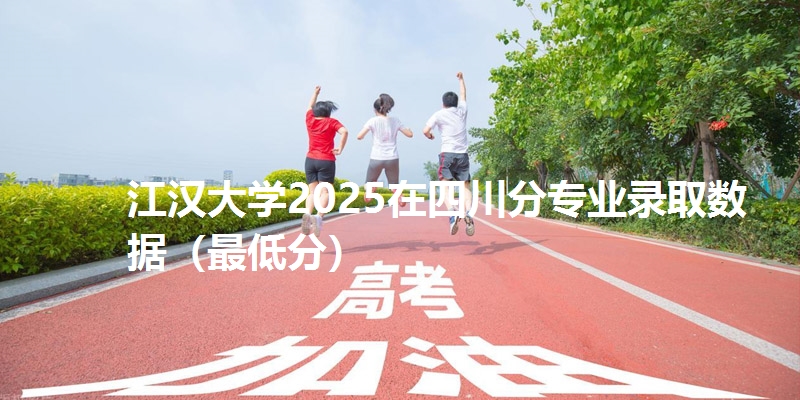 江汉大学2025在四川分专业录取数据（最低分）