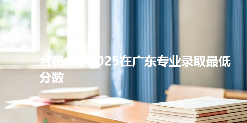 合肥大学2025在广东专业录取最低分数