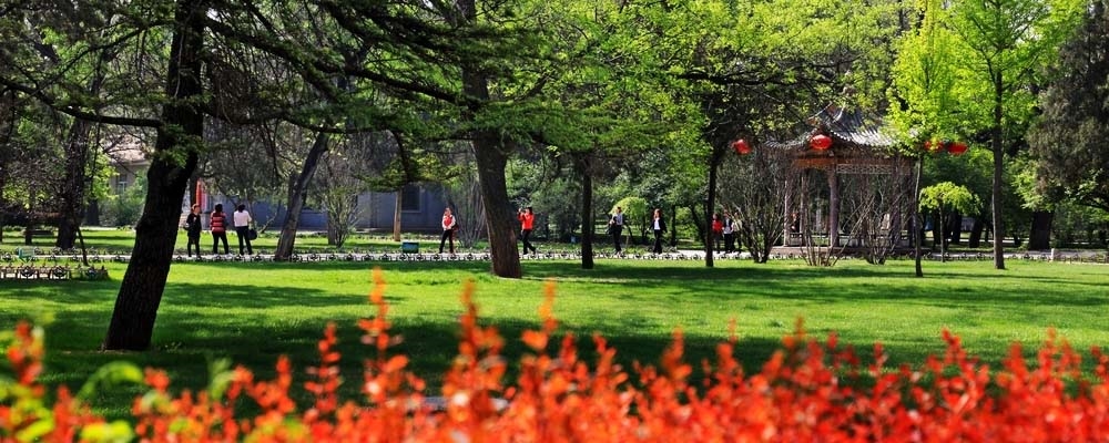 2025年山西农业大学在四川录取分数线：历史类535分，物理类505分