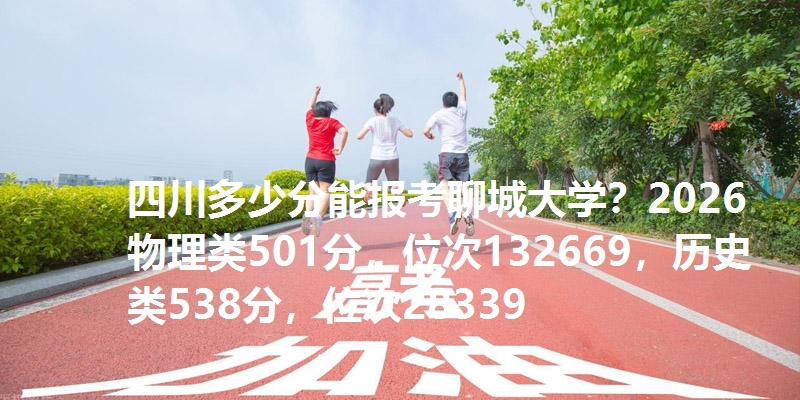 四川多少分能报考聊城大学?2026物理类501分,位次132669,历史类538分,位次28339
