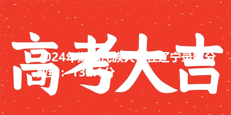 2024年湖北民族大学在辽宁录取分数线：132.1分
