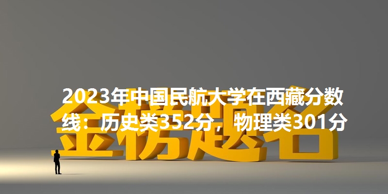 2023年中国民航大学在西藏分数线：历史类352分，物理类301分