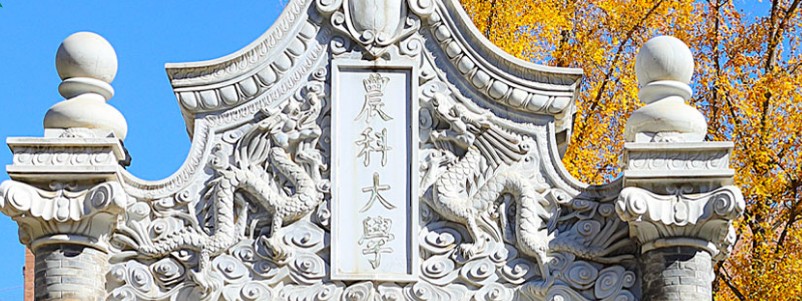 2025高考江苏物理类中国农业大学录取分数线预测 多少分能考上？近三年位次及报考建议