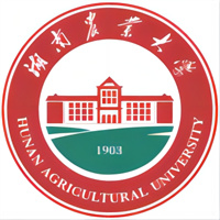 湖南有哪些学校有统招中外合作办学项目