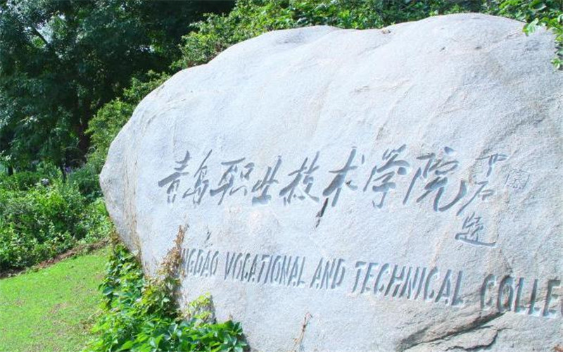 2025青岛职业技术学院单招录取分数线（含综评招生）