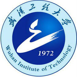 武汉工程大学2024各省录取分数线