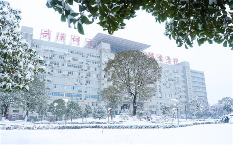 2024武汉城市职业学院各省录取分数线（含艺术体育类分数）