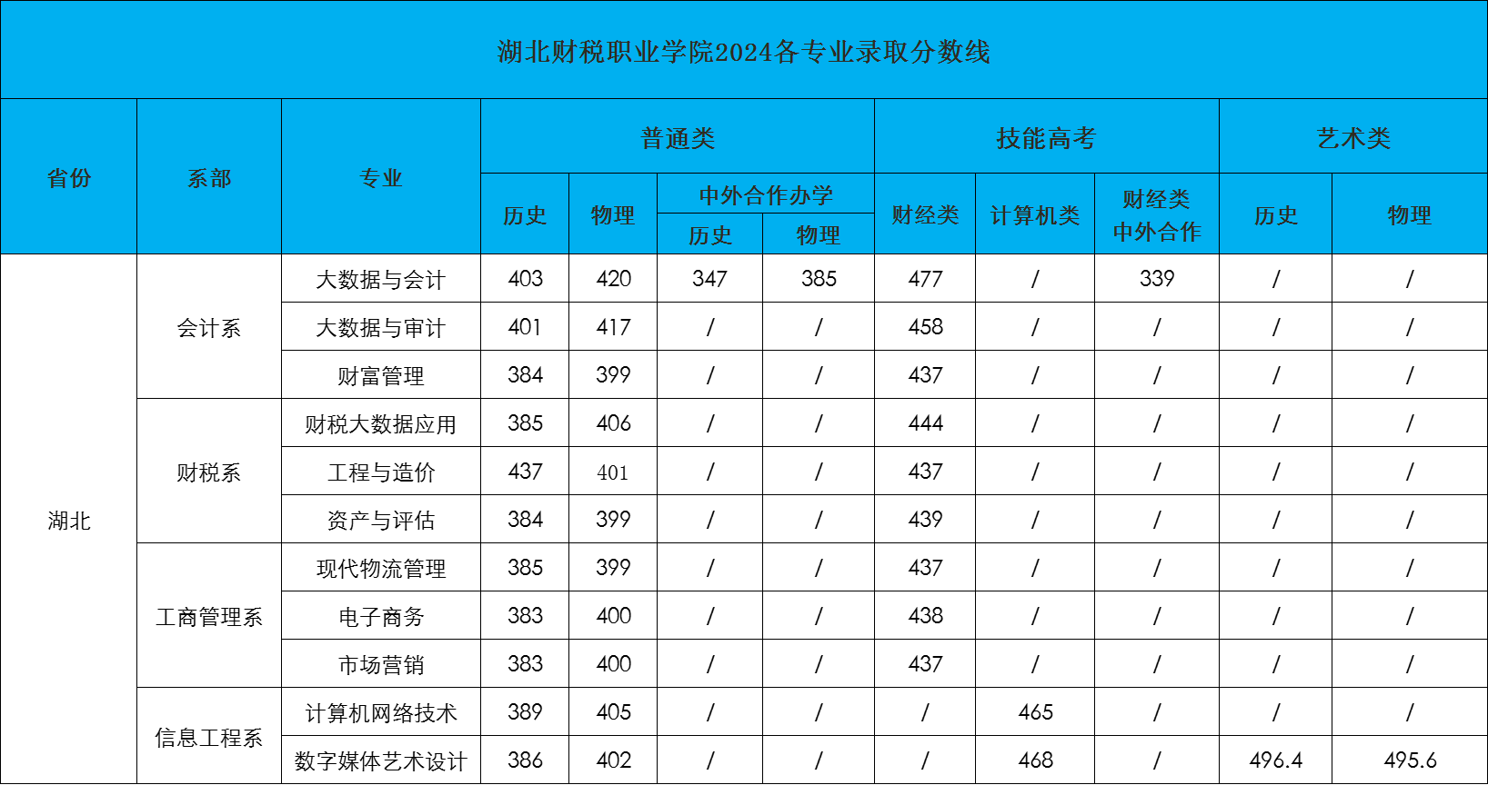 湖北财税职业学院2024专业录取分数线