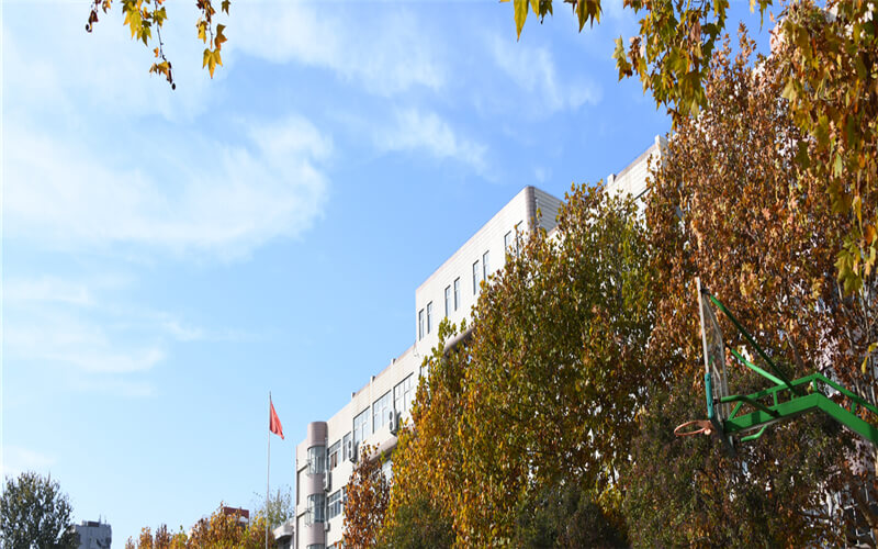 2024年河南信息统计职业学院录取分数线（含对口招生分数）