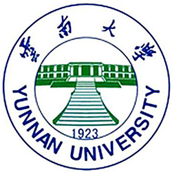 云南大学2025高考中外合作分数线
