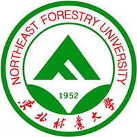东北林业大学2025中外合作分数线 计算机类分数线较高