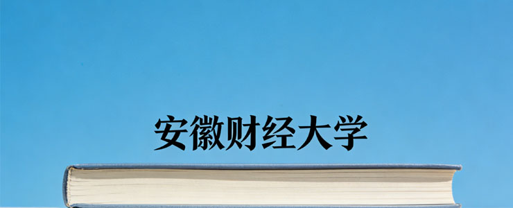 2025安徽财经大学录取分数线(含艺术类和国家地方专项)