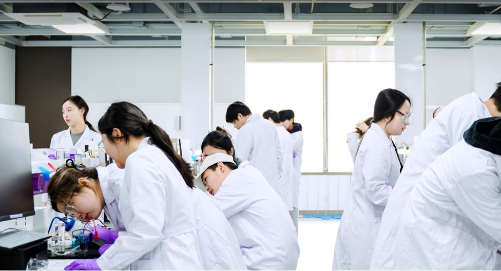上海纽约大学