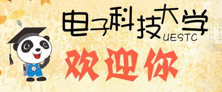 电子科技大学2024录取分数线(含国家专项和少数民族预科)