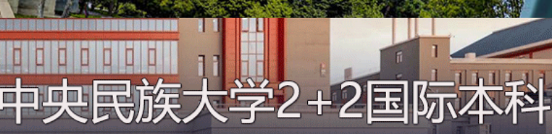 中央民族大学国际本科有哪些专业