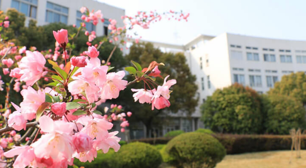 上海第二工业大学