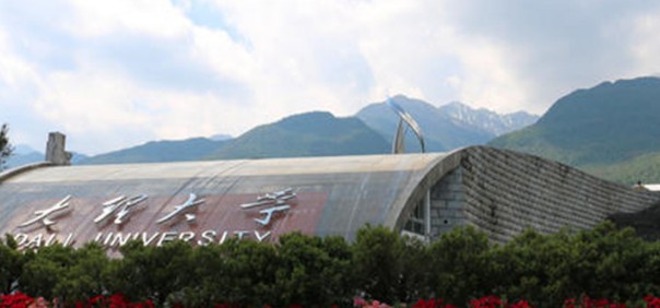 大理大学 大理大学