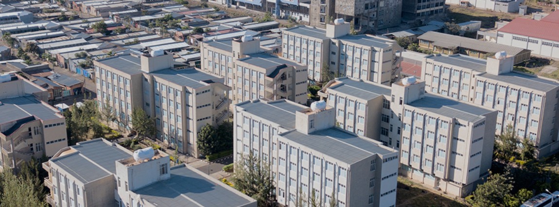 巴哈达大学 巴哈达大学