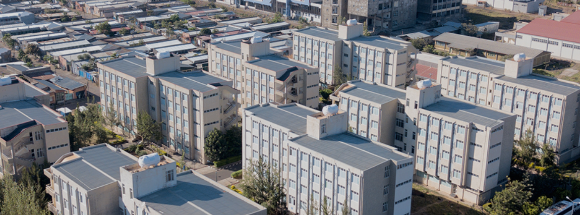 巴哈达大学