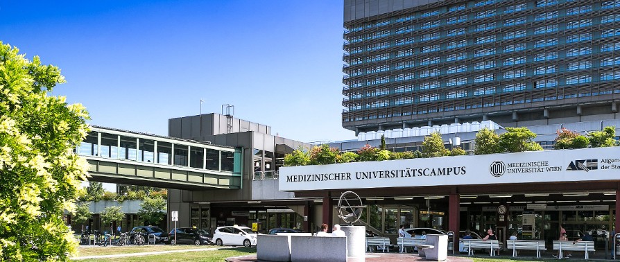 维也纳医科大学 维也纳医科大学