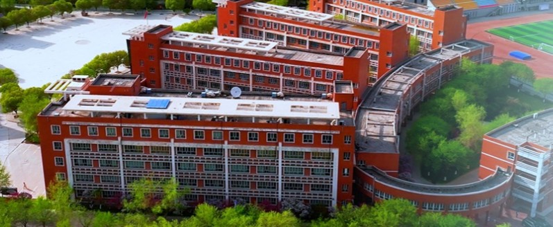 新疆2025年单列类“三校生升高职”批次投档分数线